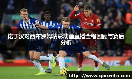 诺丁汉对西布罗姆精彩动画直播全程回顾与赛后分析